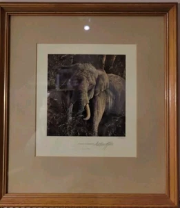 Anthony Gibbs SIGNED LIMITED EDITION Print INDIAN ELEPHANT Framed 36 X 33cm - Picture 1 of 10