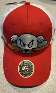 NEW  Portland Seadogs Hat Snap Back - Picture 1 of 5