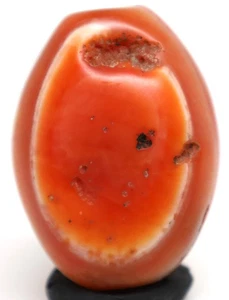 Ancient Tibetan Himalayan Carnelian Stone Eye Bead Ca. 300 BCE - Picture 1 of 8