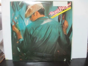RARE PROMO  PETER BROWN STARGAZER Vinyl LP RECORD 1979 Album DISCO 108 EX+ - Picture 1 of 2