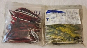 180+ Archery Arrow Fletching Feathers - Gateway - Yellow, Red - Picture 1 of 4