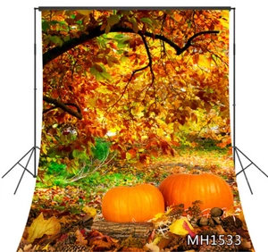 Jungle Trees Autumn Leaves Fall Pumpkin Backdrop 5x7ft Vinyl Photo Background LB - Picture 1 of 10