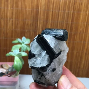 147g Natural Beautiful Black tourmaline Quartz specimen Crystal Healing A1923 - Picture 1 of 14