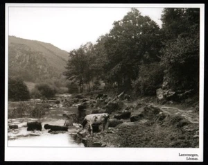 2005  --  LANVENEGEN 56  LEONAS  AVANT GUERRE   N440 - Picture 1 of 1