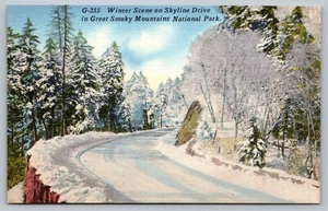 Postkarte Winterszene auf Skyline Drive The Great Smoky Mountains Nationalpark - Bild 1 von 2
