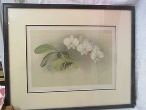 Antique Lithograph Chromolitho Orchid Reichenbachia Phalaenopsis Casta H.G. Moon - Picture 1 of 11
