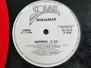 SHALAMAR - Amnesia / You're the One for Me 12" PROMO SYNTH-POP FUNK 1984 - Imagen 1 de 4
