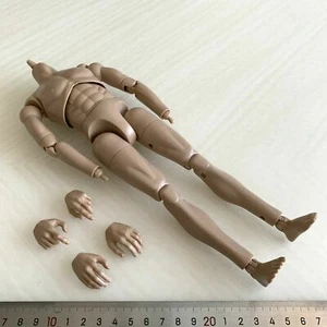 1/6 Male Flexible Body Model Suntan Skin Muscle Accessories for 12" Figure Model - Picture 1 of 4