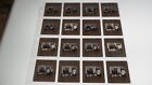 BRIAN BLOOM TRACI LORDS OFFENES SET 35 MM SCHIEBE TRANSPARENT FOTO #1