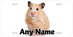 Matrícula de coche de novedad personalizada para hámster cualquier nombre - Imagen 1 de 3