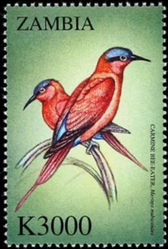 Zambia #Mi1214 MNH 2000 Birds Southern Carmine [897] - Image 1 of 1