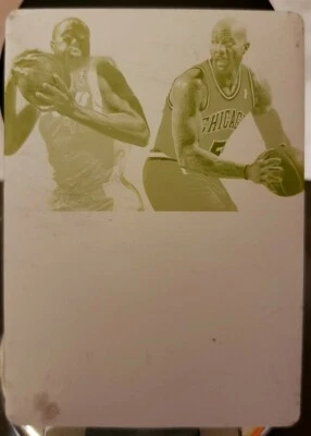 Camiseta deportiva doble Panini marca Carlos BOOZER Elton 2012-13 placa de impresión SP #1/1 de 1 Foto 1 de 2