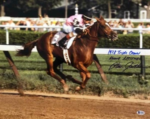 STEVE CAUTHEN SIGNED 16x20 PHOTO + HUGE INSCRIPTION AFFIRMED JOCKEY BECKETT BAS - Picture 1 of 3