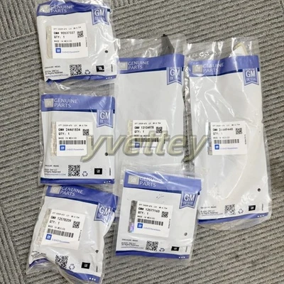 Genuine GM 12680750 Timing Chain Kit & Tensioner Guides 2.0L 2.2L 2.4L Foto 1 de 4