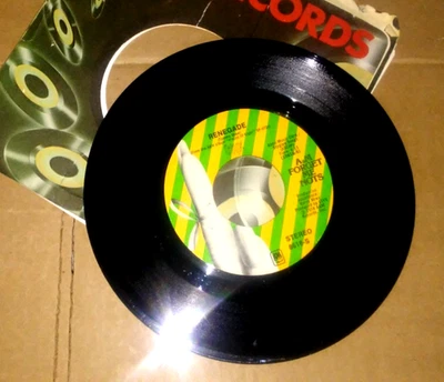 STYX Renegade/SIng For The Day A&M 45 RPM L@@K! - Image 1 of 2