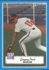 1990 Wichita Wranglers Rock's Dugout #6 Gregory David