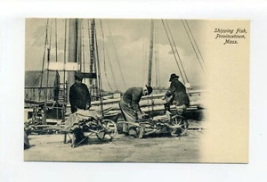 Postal antigua Provincetown MA Mass, pescadores trabajando en muelle, envío de peces - Imagen 1 de 2