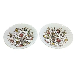 Juego de 2 tazones de postre de frutas ramo Staffordshire vintage Johnson Brothers - Imagen 1 de 9