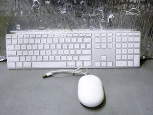 Apple A1243 Wired USB Aluminum Full Keyboard W/ A1152 Apple Mouse Bundle TESTED - Picture 1 of 5