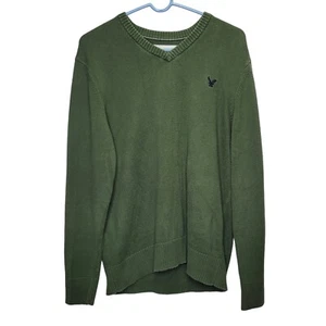 American Eagle Sweater Mens Size Large Green 100% Cotton V Neck Stitched Logo - Picture 1 of 9