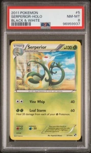 PSA 8 Serperior Holo Pokémon Black & White Base Set 5/114 - LOW POP 10 - Picture 1 of 4