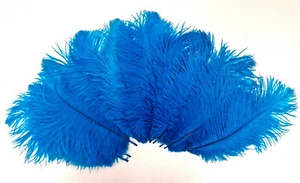 Mini plumas de avestruz turquesa 5-8 pulgadas por 24 - Imagen 1 de 1