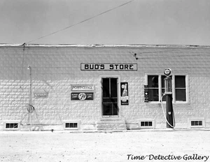 Bud's Store con pompa a gas vintage, albero solitario, North Dakota - stampa fotografica d'epoca - Foto 1 di 1