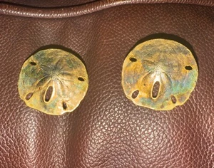 Vintage Sand Dollar Gold Tone Multi Color Stud Earrings - Picture 1 of 3