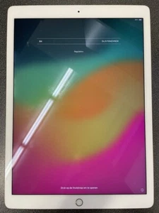 6 x Apple iPad Pro 2nd Gen 256GB (GOLD), Wi-Fi, 12.9 in - Backlight issues - Afbeelding 1 van 12