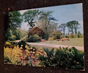 TRENGWAINTON GARDENS: Großbritannien Postkarte - 70er Jahre / nicht verschickt - Bild 1 von 2