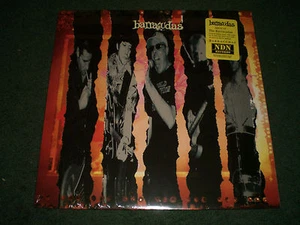 The Barracudas Self-Titled~NEW~Limited Edition 2005 Garage Rock~Colored Vinyl - Picture 1 of 2
