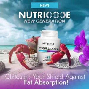 FM Blutzucker Insulin Kontrolle Ergänzung Cholesterinsenker Kapseln - Bild 1 von 6