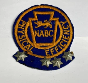 Parche de Eficiencia Física de Colección Asociación Nacional de Clubes Infantiles 8 x 7 cm - Imagen 1 de 3