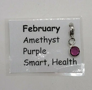 Made with Swarovski Crystal Birthstone Channel Charm; February; Silver Plated - Picture 1 of 3