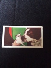 j1b Trade Card National Pets, Doctor Teas Card No 38