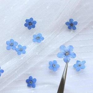 20PCS Blue Forget Me Not Flowers Dried Pressed Nature Art Craft' Flow Fast - Picture 1 of 11