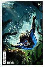 Nightwing Vol 4 #107 DC (2023) Jamal Campbell Variant