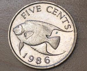 1986 Bermuda 5 Cents Blue Angelfish - Picture 1 of 2
