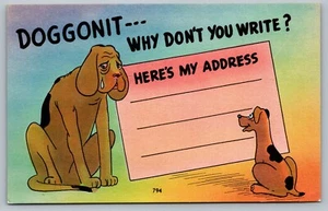 Postcard Doggonit Why Dont You Write Heres My Address Greetings Dog Sad Puppy - Foto 1 di 2