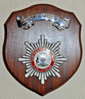Dumfries and Galloway Fire Brigade plaque shield fire sevice