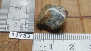 AGATE DENDRITE pierre roulée mineraux lithotherapie collection esoterisme reiki - Picture 1 of 1