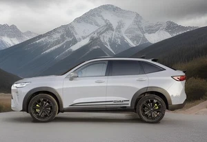 GWM Haval  Side Stripe Decals Rocker Panel Graphics Premium Vinyl H6 - Foto 1 di 4