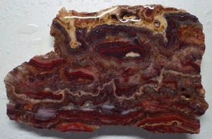 WRG- Bacon Opal Slab 51 grams Utah Lapidary agate jasper rhyolite - Picture 1 of 4