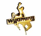 Wyoming Pin Lapel Hatpin Tie Tack Cowboy Rodeo Horseback Wild West Goldtone Gift