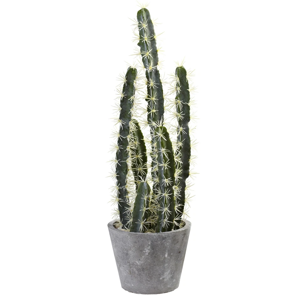 Jardín decorativo de cactus con maceta de cemento decoración del hogar casi natural 27,5" H Foto 1 de 1