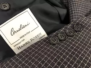 Corneliani Superfine Textured Wool Blazer 40 L CHECK Sport Coat Blazer Jacket 50 - Picture 1 of 21