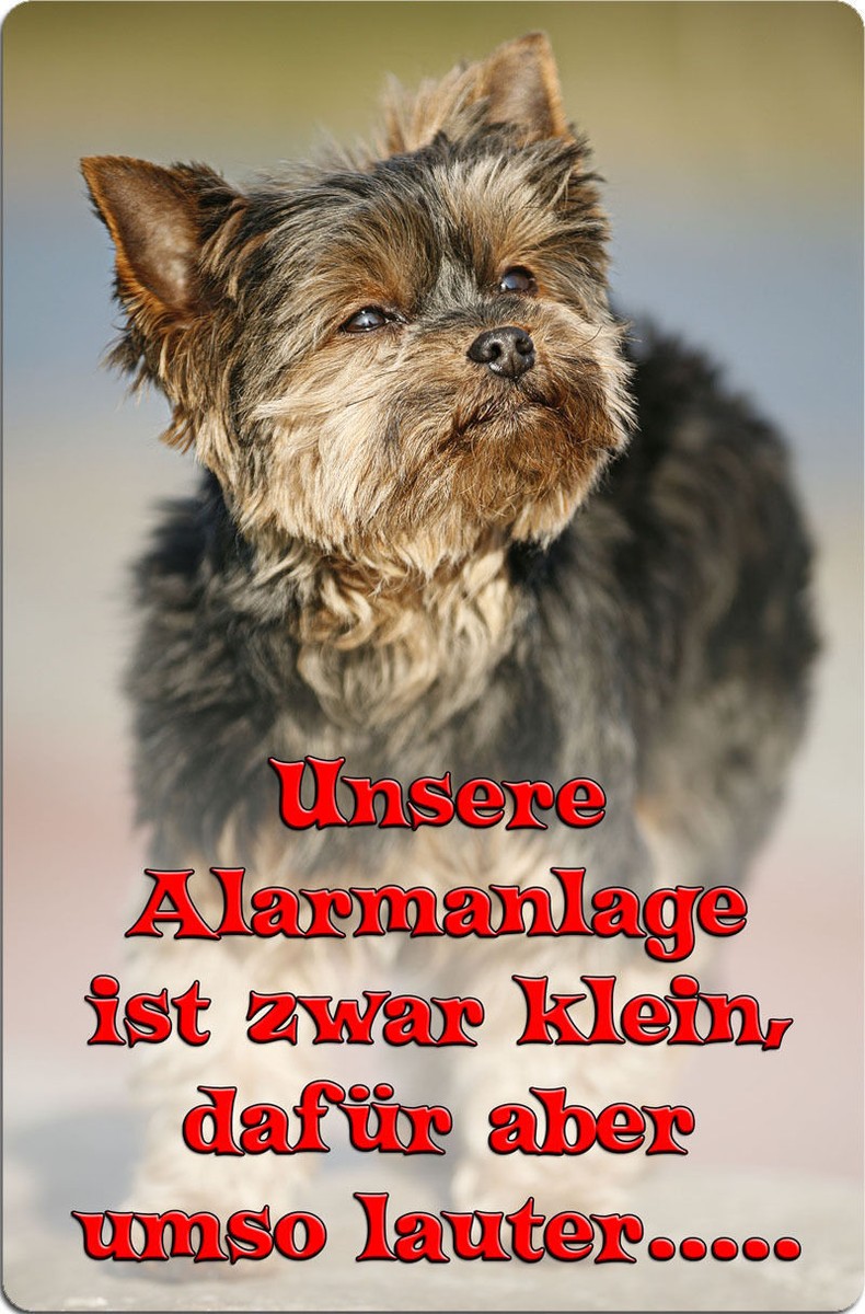 Yorkie Auto Aufkleber - Lustiger Yorkshire Terrier Vinyl Sticker