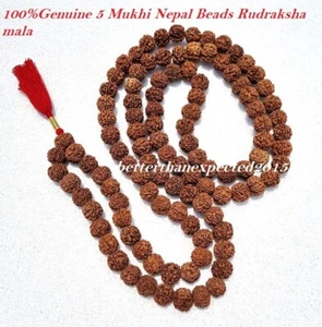 20 MM 5 CUENTAS MUKHI RUDRAKSHA CARA RUDRAKSH MALA NEPAL 109 ORACIÓN YOGA CERTIFICADO - Imagen 1 de 3