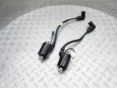 Lote de paquete de bujías de bobina de encendido Polaris RMK 800 2019 Assault 155 Foto 1 de 4