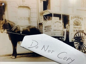 Reprint Photo  Bordens Dairy Horse Drawn Milk  Wagon Truck 4 X 6 - Picture 1 of 4